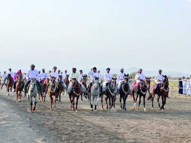 فعاليات متنوعة في سباق وعرضة الخيل ببهلا