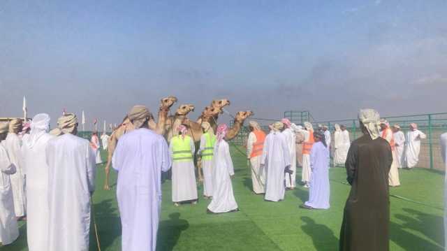 غدًا ختام منافسات مهرجان المزاينة بالمصنعة
