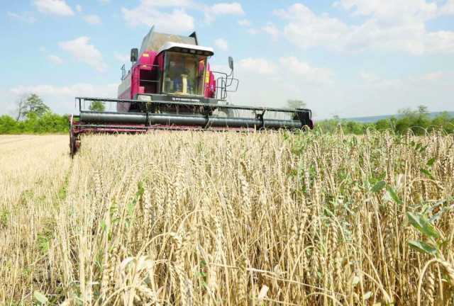 اتفاق أوروبي لتحديد سقف لواردات الدواجن والذرة وبعض الحبوب من أوكرانيا