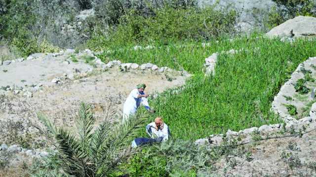 حدش.. طبيعة ساحرة تستظل بقمم جبال الحجر