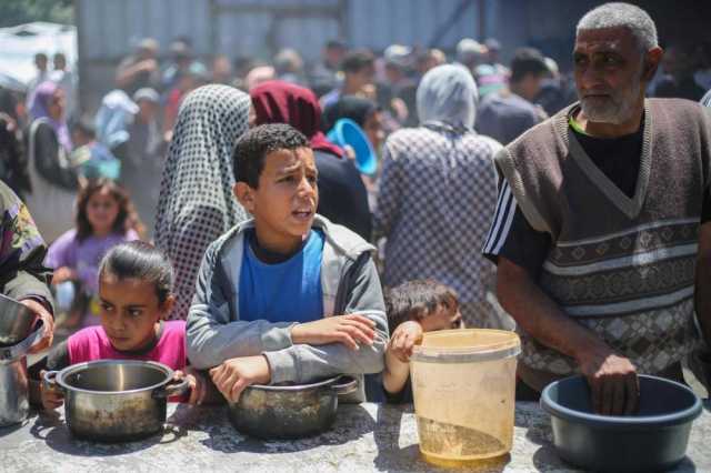 تدمير الأراضي في غزة.. ضربة قاسية في خاصرة المزارعين