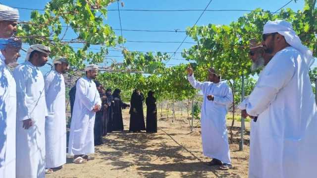 زراعية الظاهرة تنفذ برنامجا تدريبيا يغطي كافة جوانب زراعة العنب