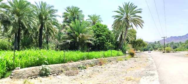 بلدة مقنيات .. عبق التاريخ وجمال الطبيعة