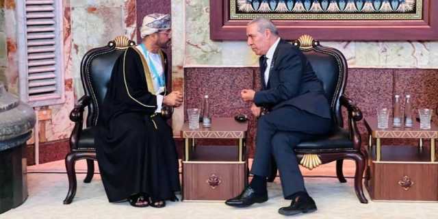 وزير الخارجية يلتقي نائب الرئيس الفلسطيني