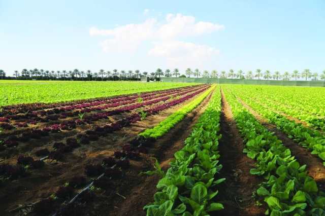 سلطنةُ عُمان تحتفل باليوم الدولي للصحة النباتية