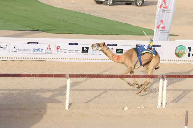 ختام مهرجان الأبيض لسباقات الهجن .. غداً