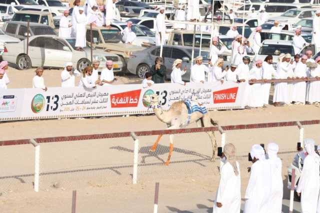 ختام مهرجان الأبيض لسباقات الهجن بسناو