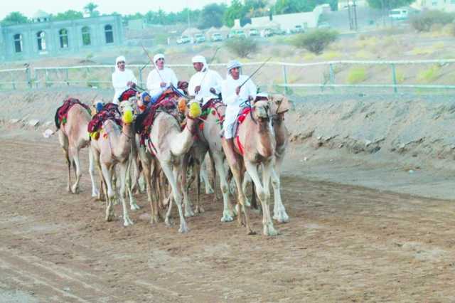انطلاق مهرجان ركض عرضة الهجن والخيل ببدية