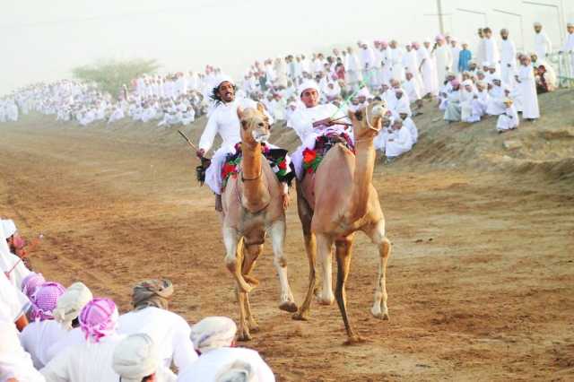 بعد غد .. انطلاق مهرجان عرضة الخيل والهجن ببدية
