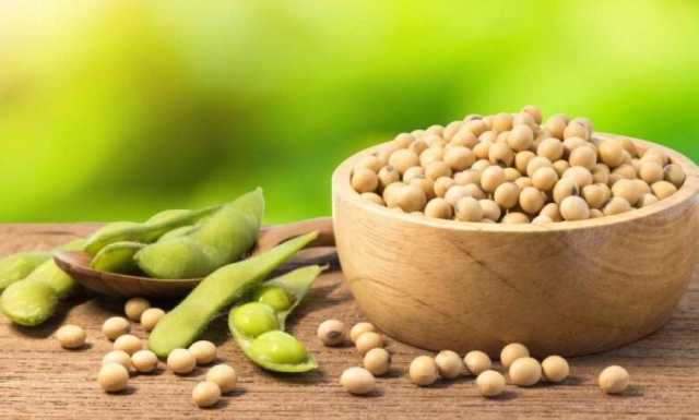 ارتفاع واردات الصين من فول الصويا إلى مستوى قياسي