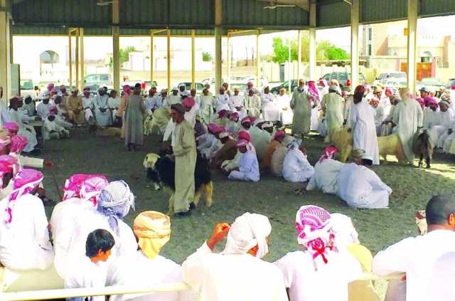 هبطة ضنك تشهد حركة تجارية نشطة لشراء مستلزمات العيد