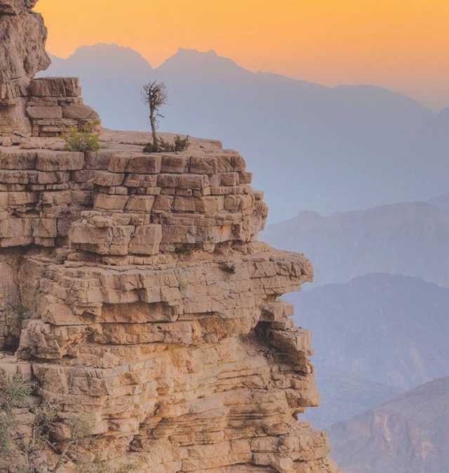 تساؤلات