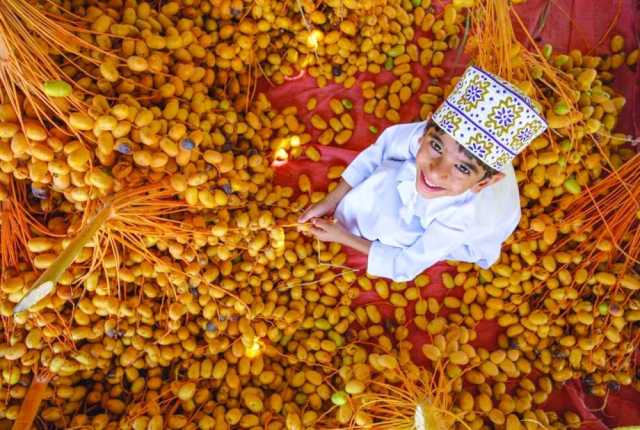التبسيل.. احتفاء بالنخلة وتعظيم للعائد الاقتصادي