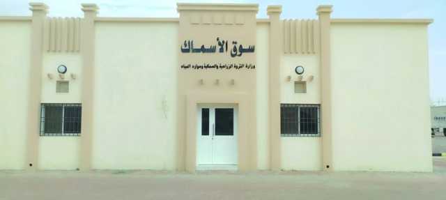 اكتمال تطوير وتوسعة سوق الأسماك بولاية ضنك