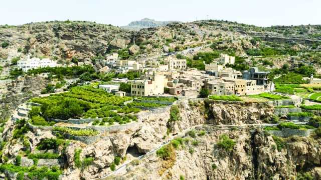 الأفلاج والمدرجات بالجبل الأخضر .. حكاية إبداع وكفاح عماني مع الطبيعة