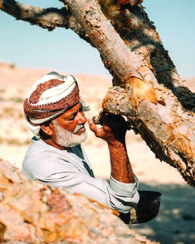 أمواج تحصل على شهادة اعتماد من فيروايلد