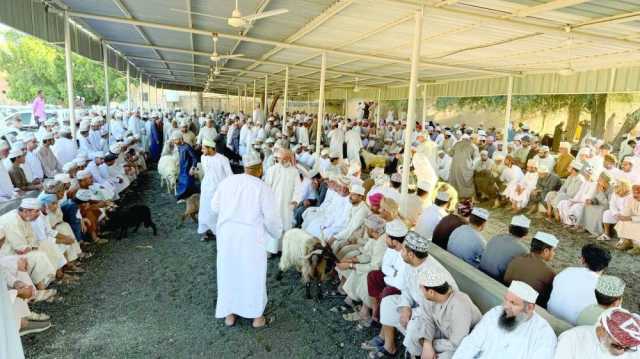هبطة بهلا تشهد تنوعًا في المعروض من المواشي
