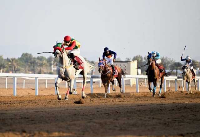 8 أشواط مثيرة في انطلاق موسم سباقات الخيل بالرحبة