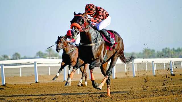 8 أشواط في السباق الثاني لسباقات الخيل بالرحبة