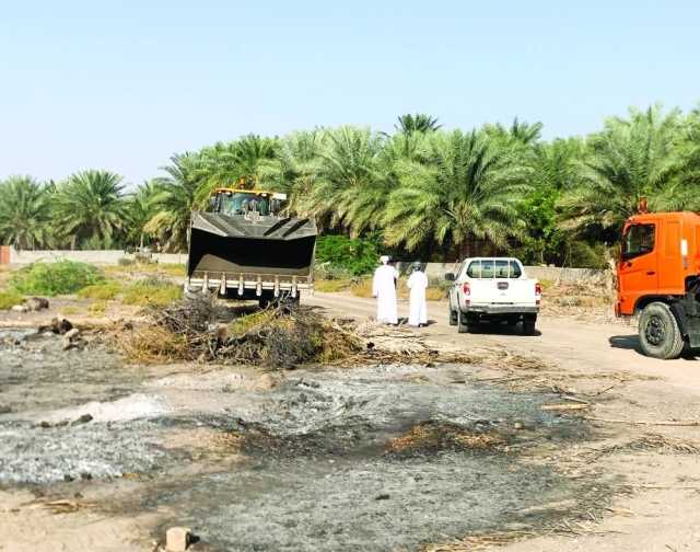 التنمية الزراعية بالمضيبي تنفذ برنامج الإدارة المتكاملة لمكافحة الآفات