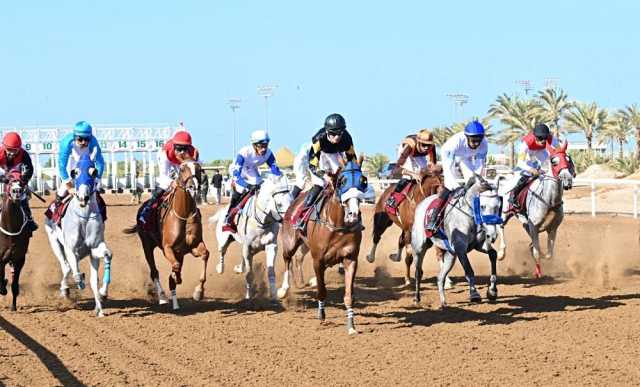 8 أشواط ممتعة يشهدها سباق الخيل الرابع بالرحبة
