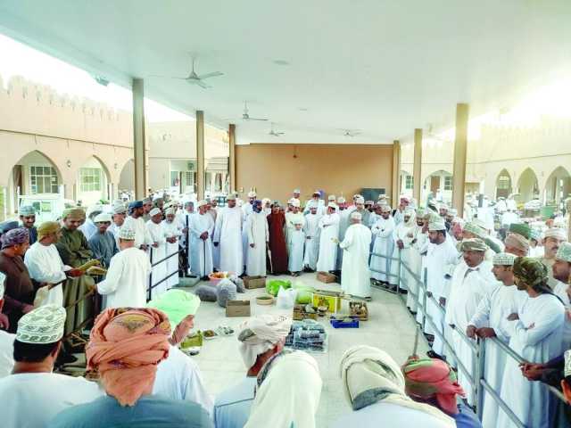 وفرة في المحاصيل الزراعية الشتوية بسوق طوي الحارة بولاية الرستاق