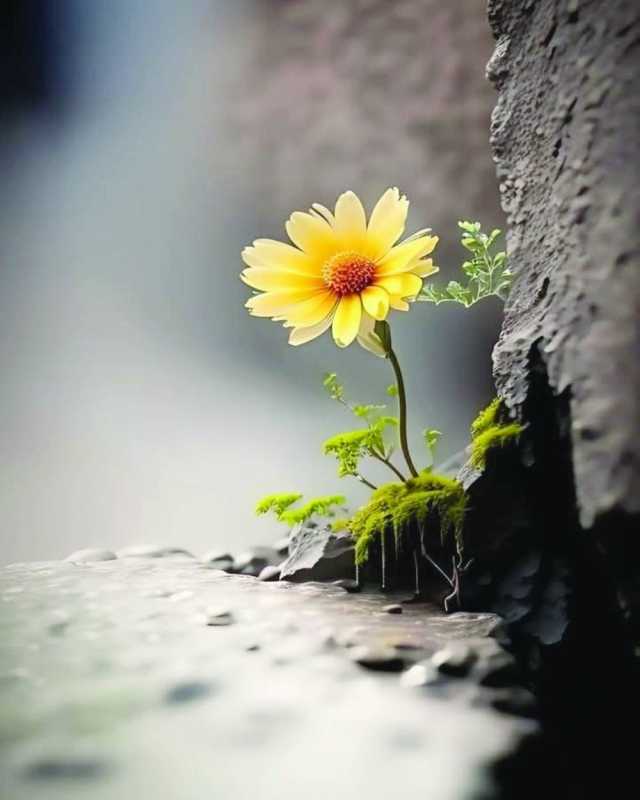 متى سيبقى عطرك عالقا بالأذهان؟