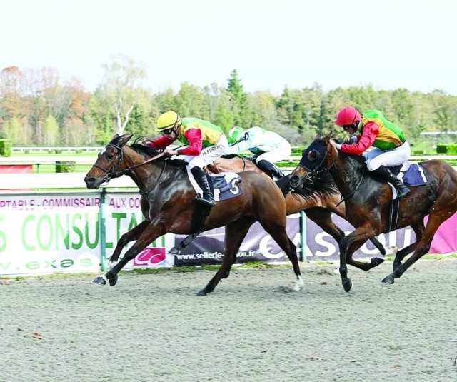 الخيالة السلطانية تفوز بالمركزين الأول والثاني على مضمار باو الفرنسي