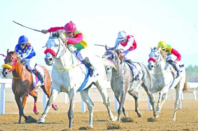 مضمون يتوج بكأس اليوم الوطني لخيول الإنتاج المحلي