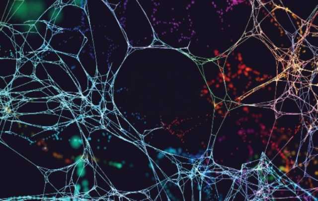 الدماغ الذي يُعيد بناء نفسه: ثورة اللدونة العصبية