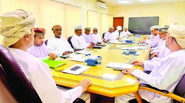 ٥٠ % نسبة الإنجاز في مشروع ربط شبكة الكهرباء بولاية مصيرة