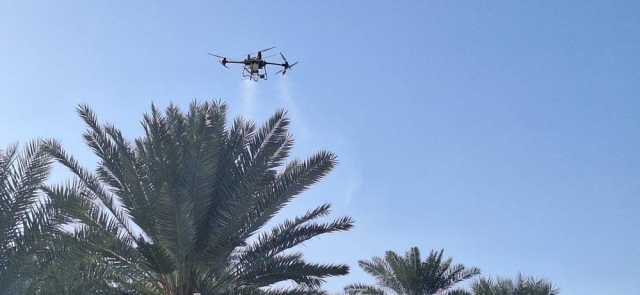 بدء برنامج مكافحة دوباس النخيل باستخدام طائرات الدرون