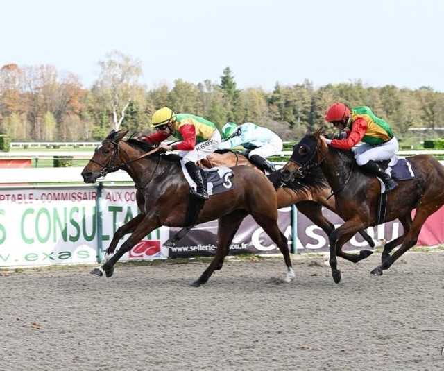 صوارم والريم للخيالة السلطانية تفوزان بالمركزين الأول والثاني على مضمار باو الفرنسي