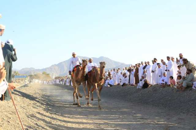 سباق الخيل والهجن يفتتح فعاليات تحدي شتاء بدبد