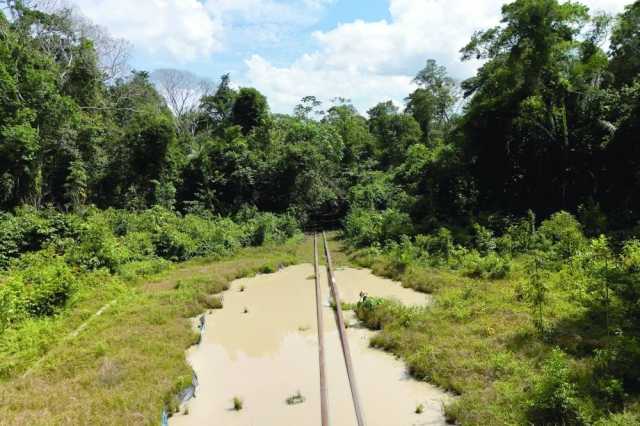 مشروع سكة حديد يمر عبر غابات الأمازون يثير احتجاجات خلال كوب 30