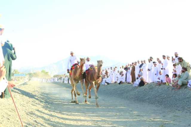 سباق الخيل والهجن يفتتح فعاليات تحدي شتاء بدبد