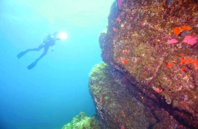 اكتشاف جدار حجري عمره 7 آلاف عام تحت الماء قبالة فرنسا