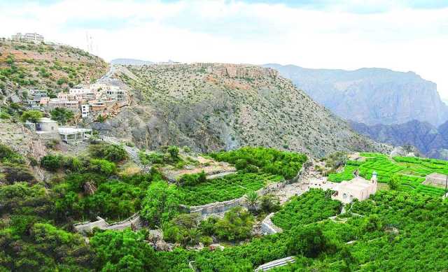 طرح مناقصة لتصميم وتنفيذ طريق الجبل الأخضر