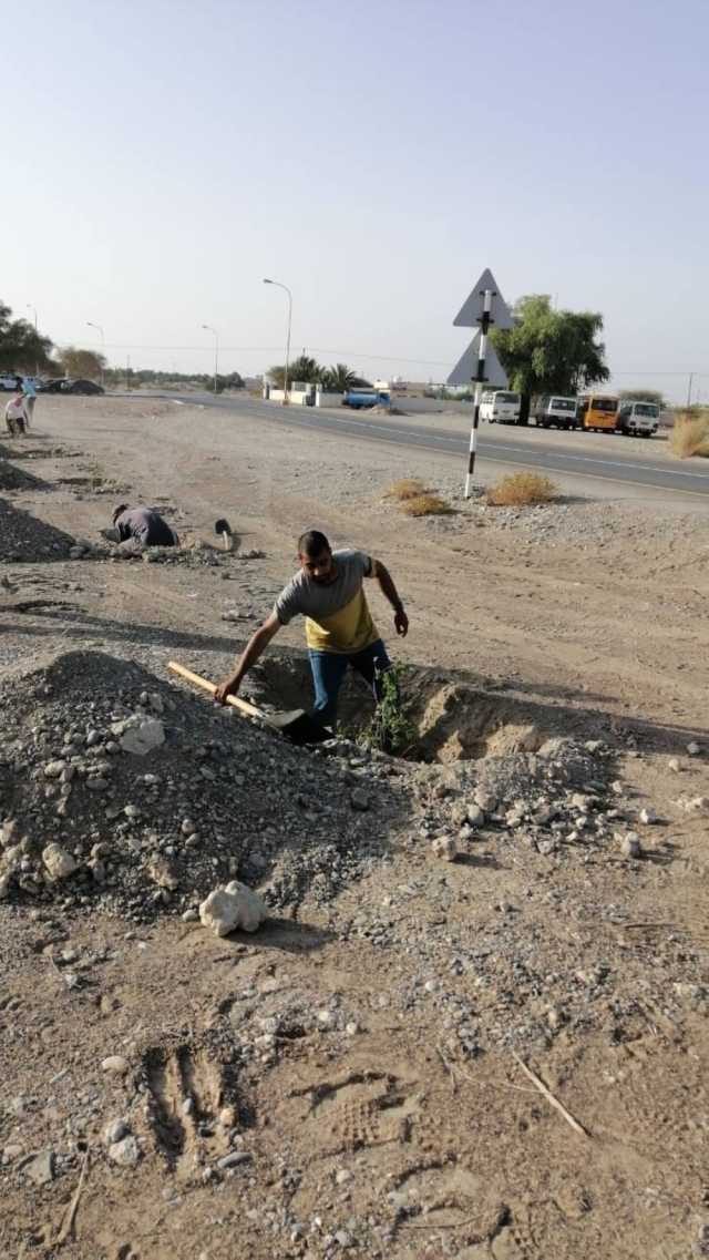 مبادرة لتشجير الطرقات والمرافق العامة بأدم