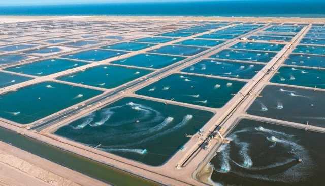 تنمية أسماك عُمان تشارك في المنتدى العالمي لمصائد الأسماك في روسيا