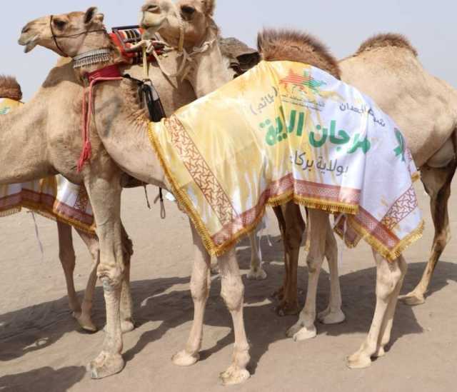 6 أشواط في انطلاق مسابقة المزاينة بالفليج