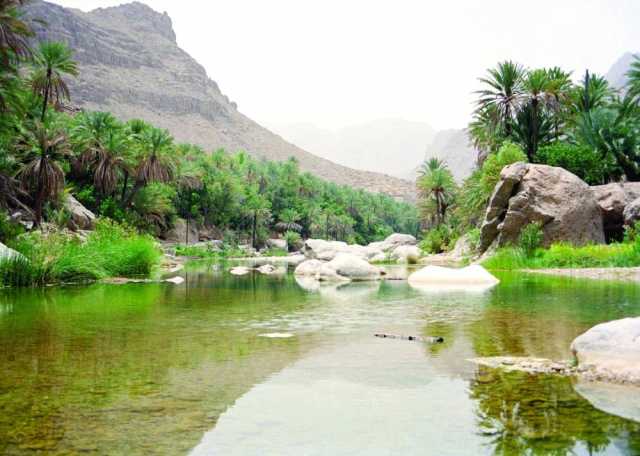 مشروعات إنمائية بأكثر من 3 ملايين ريال بمحافظة شمال الشرقية