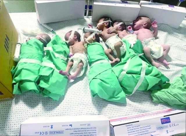 إرهاب إسرائيلي في مستشفيات غزة