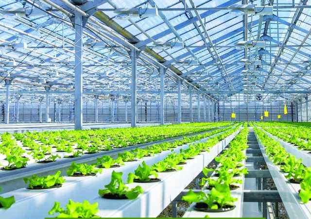 الإسكان تعلن 10 فرص استثمارية زراعية في جنوب الباطنة
