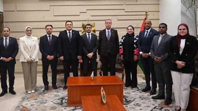 وفد «التنسيقية» يلتقي السفير دياب اللوح.. ويؤكد دعم ومساندة الشعب الفلسطيني