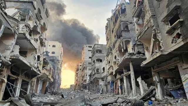نائبة بالبرلمان الأرجنتيني: ندعم الشعب الفلسطيني ونطالب بوقف فوري لإطلاق النار