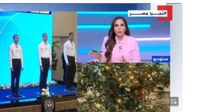 أستاذ في الاقتصاد الزراعي: إضافة 4 ملايين فدان قصة نجاح جديدة للدولة