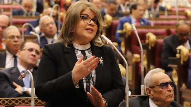 وكيل «الشيوخ»: مصر سخرت كل إمكاناتها السياسية والدبلوماسية لوقف الحرب في غزة