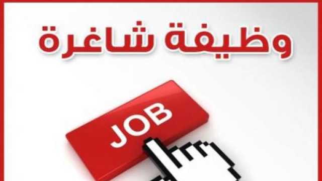 وظائف خالية في مجال التسويق براتب شهري 50 ألف جنيه.. اعرف الشروط