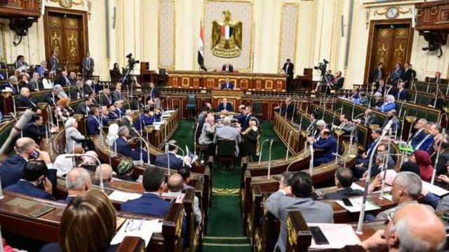 عضو «خارجية النواب»: العفو الرئاسي يعكس رغبة الحكومة في تحقيق الاستقرار والعدالة